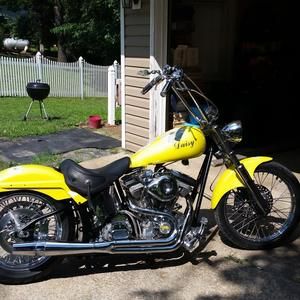 Meet your Posher, Tammy